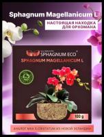 Мох sphagnum magellanicum L субстрат для орхидей в брикете 8 л