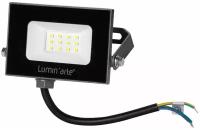 Прожектор светодиодный уличный Luminarte 10 Вт 5700K IP65 холодный белый свет