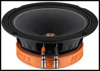 DL Audio RAVEN 165