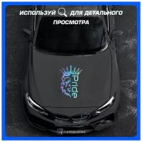 Наклейки на авто для тюнинга на кузов или стекло Лев Прайд Pride Car Audio 50х35 см