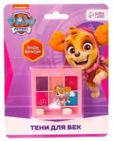 Тени детские Paw Patrol "Скай", 6 цветов