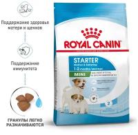 ROYAL CANIN Mini Starter Сухой корм для щенков миниатюрных и мелких размеров (вес взрослой собаки до 10 кг) до 2-х месяцев, беременных и кормящих сук, 1 кг