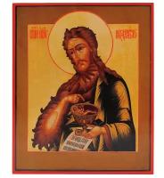 Икона Иоанн Предтеча 7х9 (08.02.01. СМ) #155052