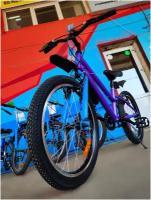 Велосипед ALTAIR MTB HT 20 low (20" 1 ск. рост. 10.5") фиолетовый/голубой (требует финальной сборки)