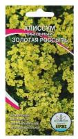 Семена цветов Алисум "Золотая россыпь", Мн, 0,1 г