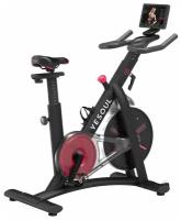 Вертикальный велотренажер YESOUL Smart Spinning bike S3, черный