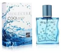 Туалетная вода мужская Molecule Cool, 100 мл