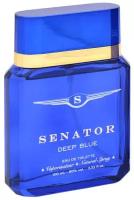 Art Positive туалетная вода Senator Deep Blue, 100 мл