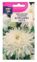 Семена цветов Хризантема многоцветковая "королева лета", 0,03 г