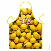 Фартук кухонный Лимоны, рабочий, для повара, на завязках, с водооталкивающей пропиткой, с приколом 57х75 см, ITATI