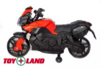 Toyland Мотоцикл Minimoto JC919, красный