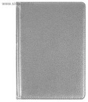 Ежедневник недатированный Bruno Visconti "SIDNEY NEBRASKA", с серебряным срезом, серебряный А5, Арт. 3-128/10