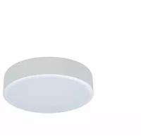 Потолочный светильник светодиодный Axel 10002/12 White