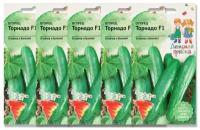 Набор семян Огурец Торнадо F1 5 шт Детская Грядка - 5 уп