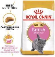 Сухой корм для котят Royal Canin British Shorthair Kitten, для котят породы британская короткошерстная, 2 шт. х 2 кг