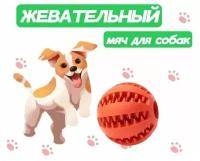 Жевательная игрушка мяч для собак и кошек, шарик для чистки зубов 5см