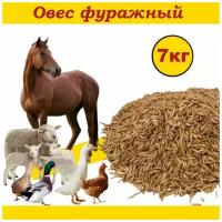 Овес фуражный 7 кг