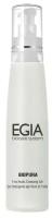 EGIA очищающий гель с фруктовыми кислотами Fruit Acids Cleansing Gel