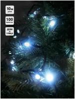 Гирлянда Нить уличная SH Lights 100 белых LED, 10 м, RB-LD100-W-E