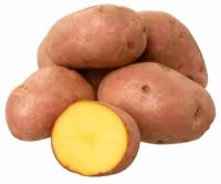 Картофель для жарки