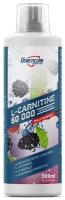 Л-Карнитин (L-Сarnitine) Geneticlab Nutrition L-Carnitine Concentrate (500 мл) Лесные ягоды