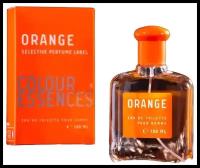 Today Parfum Colour Essences Туалетная вода мужская Orange 100мл