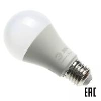 Лампа светодиодная "груша" дневной 20Вт Б0045326 RED LINE LED A65-20W-865-E27 R 1600Лм 6500K ЭРА