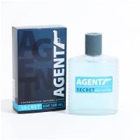 Туалетная вода мужская Agent Secret (Агент Секрет), 100ml