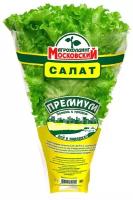 Агрохолдинг Московский Салат премиум в горшочке (Россия)