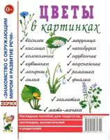 ЗнакомствоСОкружМиромИРазвитиеРечи Цветы в картинках Нагляд.пос.д/педагогов,логопедов,воспитателей и родителей