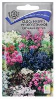 Семена цветов Смесь низких многолетников "Цветочный коктейль", 0,3 г./В упаковке шт: 2