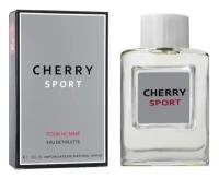 Туалетная вода мужская Cherry Sport, 100 мл 7329769