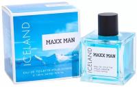 Дельта Парфюм Макс Мэн Айслэнд / Delta PARFUM Maxx Man Iceland Туалетная вода мужская 100 мл