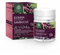 Бузина экстракт ВИС (Sambucus nigra Standardized EXTRACT VIS) капсулы 0,45 г №30