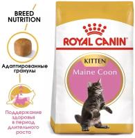 ROYAL CANIN MAINE COON KITTEN 36 для котят мэйн кун (0,4 + 0,4 кг)