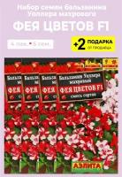 Семена Бальзамин "Фея цветов F1", 4 упаковки + 2 подарка