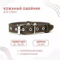 Кожаный ошейник (обхват шеи 22-40 см.) для собак / Коричневый