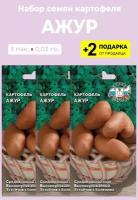 Семена Картофель "Ажур", 3 упаковки + 2 подарка