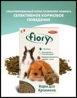 Fiory корм для кроликов Pellettato гранулированный - 850 г