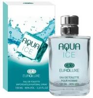 Euroluxe Туалетная вода для мужчин Aqua Ice (Аква айс) свежий, фужерный, спрей 100 мл