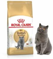 Сухой корм для кошек Royal Canin для британских короткошерстных 13 кг