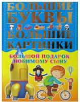 Большой подарок любимому сыну. Большие буквы. Большие картинки. Александров И. Харвест