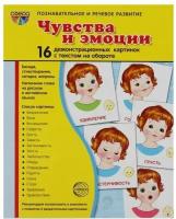 Демонстрационные картинки Атмосфера праздника "Чувства и эмоции" 16 картинок с текстом, 173*220 мм