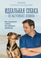 мартин рюттер: идеальная собака не выгуливает хозяина. как воспитать собаку без вредных привычек