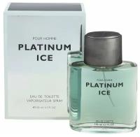 КПК-парфюм Туалетная вода мужская PLATINUM ICE for MEN