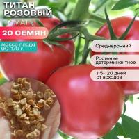 Семена томата Титан Розовый