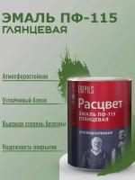 Эмаль ПФ-115 Расцвет универсальная атмосферостойкая глянцевая Зеленая 0,9кг ГОСТ 6465-76