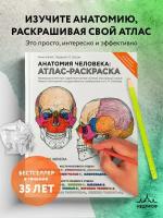 Элсон Л., Кэпит У. Анатомия человека: атлас-раскраска