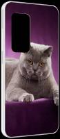 Чехол MyPads кошка британская короткая для UleFone Power Armor X11 Pro задняя-панель-накладка-бампер