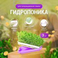 Проращиватель семян / Лоток для проращивания микрозелени Фиолетовый / Гидропоника 3 штуки